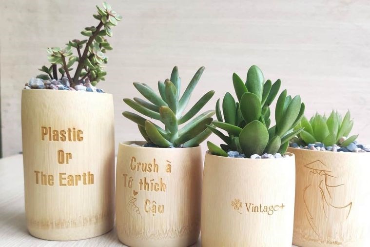 The One Up Store - Phú Quốc